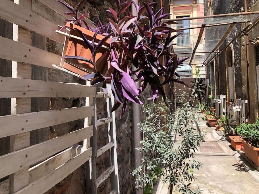Appartement Vicolo Lavico Catane